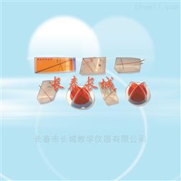 双折射示教模型